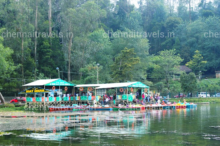 Kodaikanal Homestay for Group