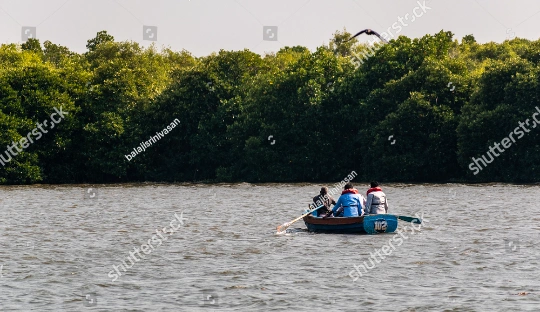 Pichavaram mangrove forest Pichavaram mangrove forest Boat ride