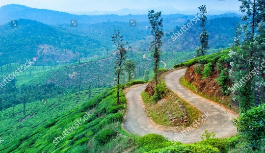 Chennai to Wayanad Tour Package