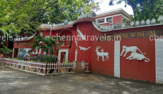 Government museum in chennai