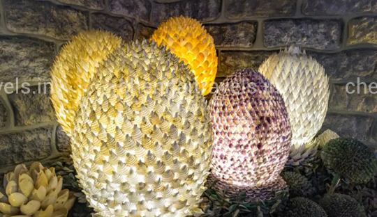Seashell Museum India seashell museum