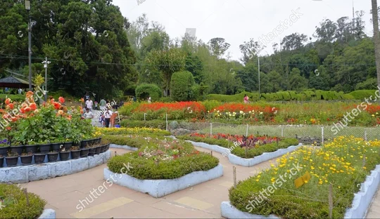Byrant Park at Kodaikanal Kodaikanal Byrant Park