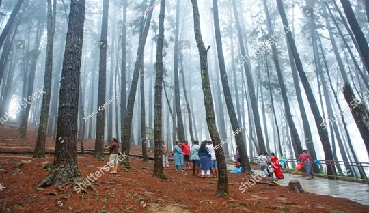 3 Days Vagamon Tour Package