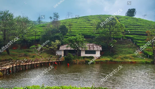 Vagamon Meadows lake, kerala