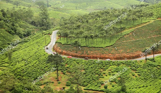 Vagamon Trip from Chennai