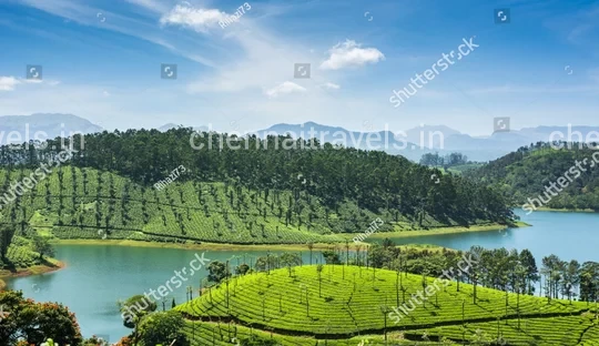 Valparai Hill Station Tour Package from Chennai