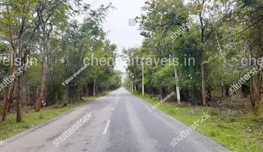 Nallamala Forest Srisailam