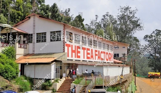 Ooty Tea Factory