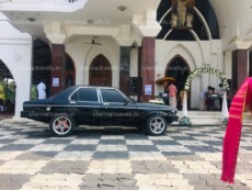hire black contessa